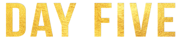 DAY FIVE Logo